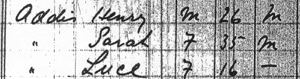[1891 Census]